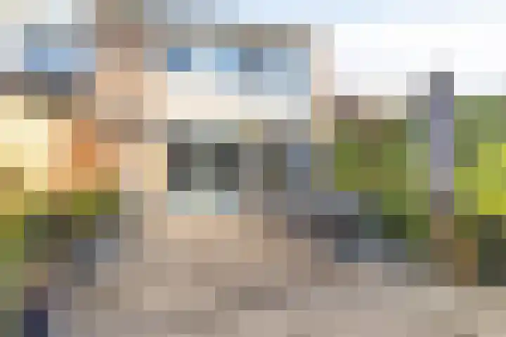 Tormentil 4 Oldenzaal thumbnail 25