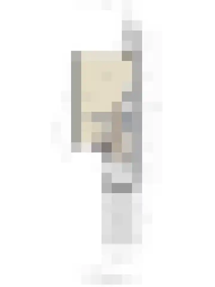 Tormentil 4 Oldenzaal thumbnail 31