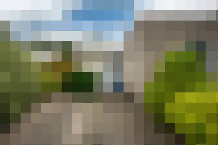 Tormentil 49 Heerenveen thumbnail 4