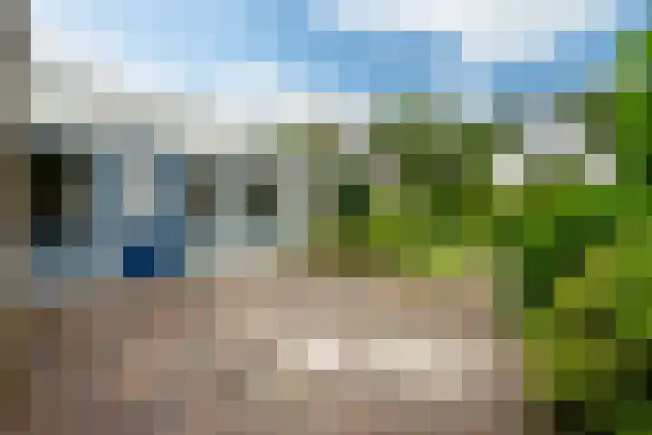 Tormentil 49 Heerenveen thumbnail 7