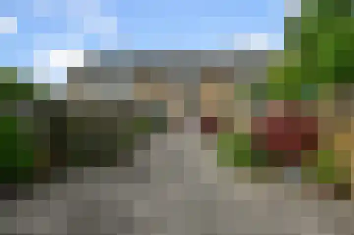 Tormentil 5 Castricum thumbnail 35