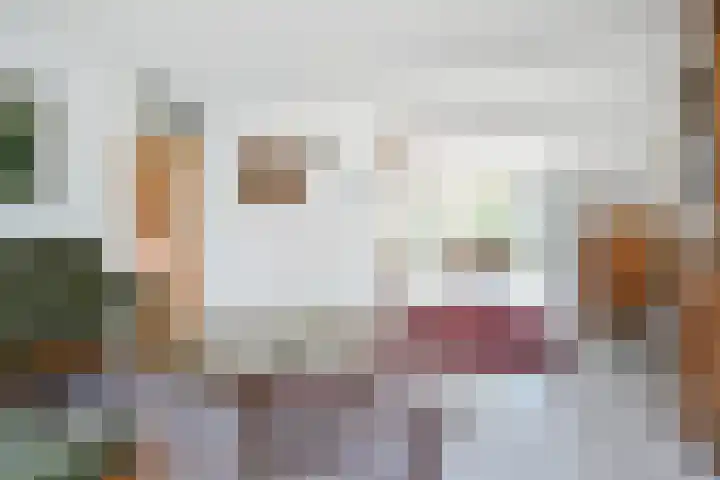 Tormentil 51 Nootdorp thumbnail 12