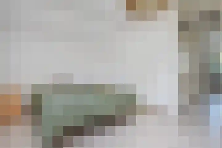 Tormentil 51 Nootdorp thumbnail 37