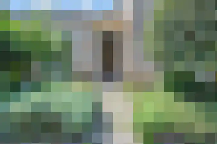Tormentil 51 Nootdorp thumbnail 6