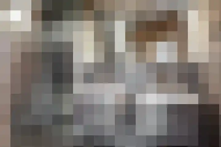 Tormentil 7 Venray thumbnail 12