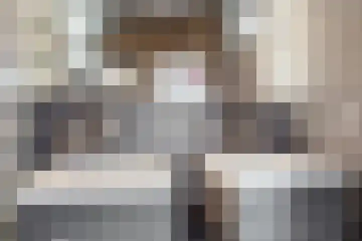 Tormentil 7 Venray thumbnail 13