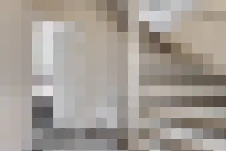 Tormentil 7 Venray thumbnail 15