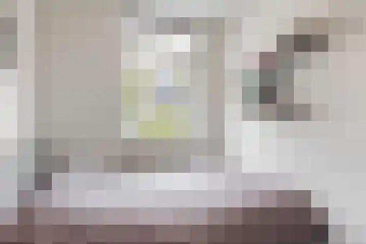 Tormentil 7 Venray thumbnail 19