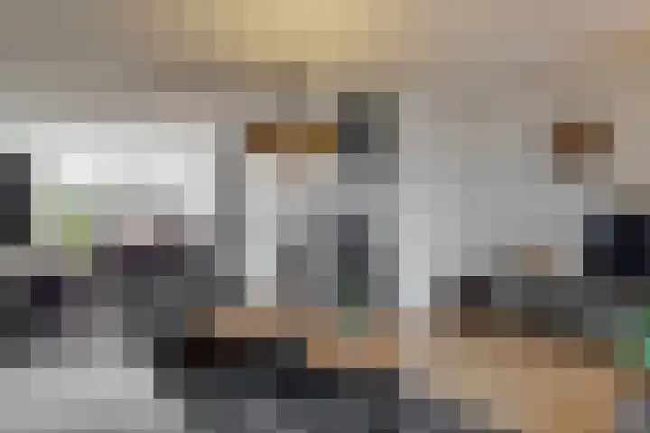 Tormentil 7 Venray foto 2