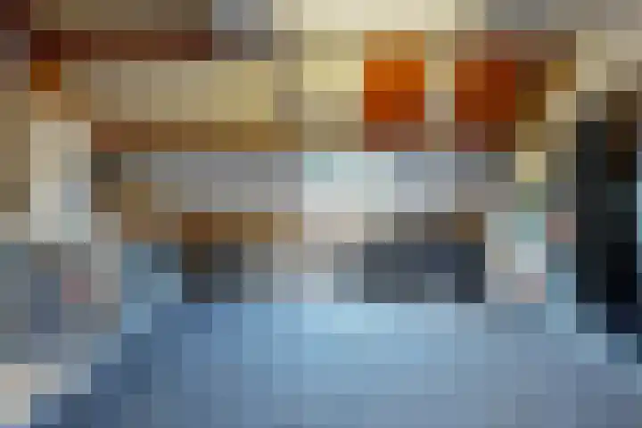 Tormentil 7 Venray thumbnail 20