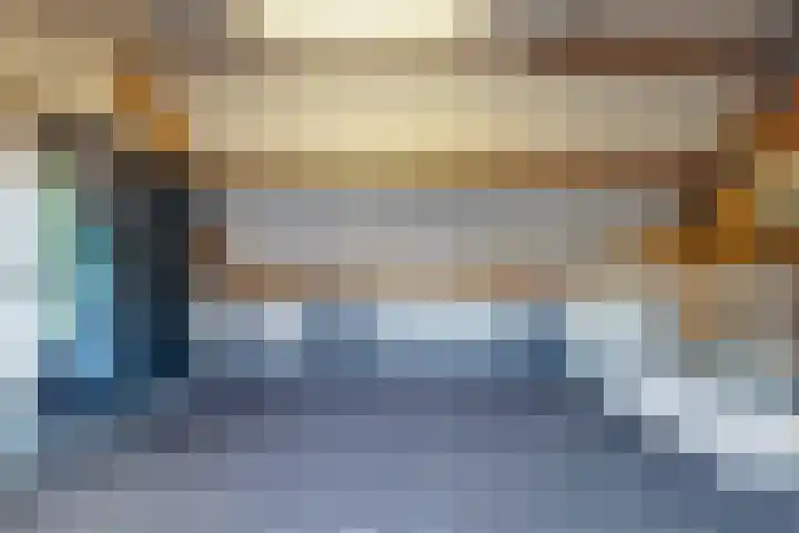 Tormentil 7 Venray thumbnail 21