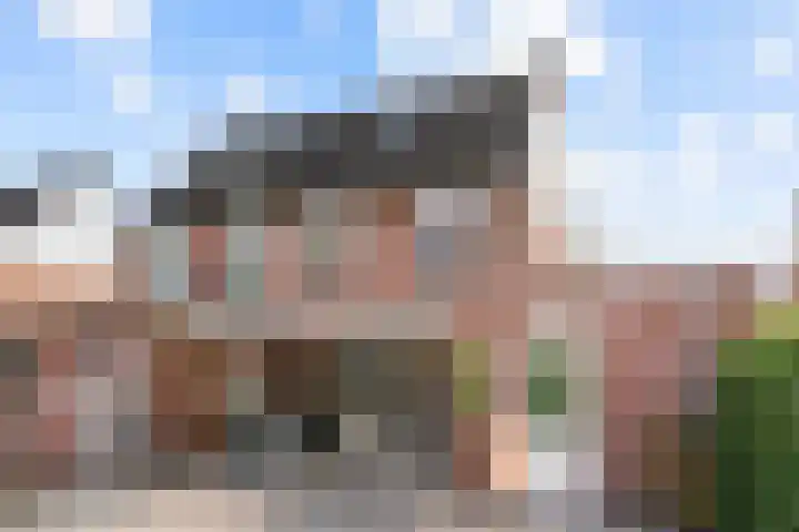 Tormentil 7 Venray thumbnail 22