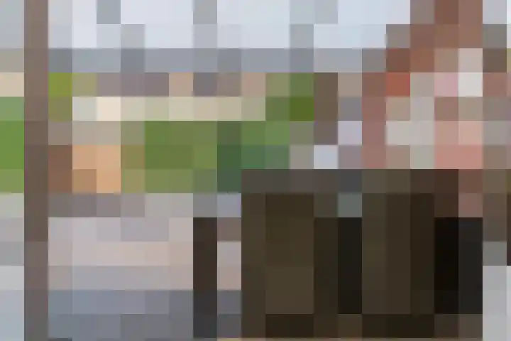 Tormentil 7 Venray thumbnail 23