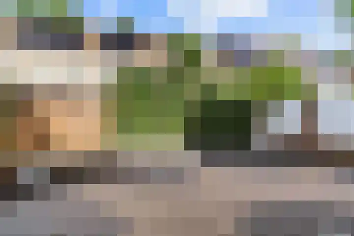 Tormentil 7 Venray thumbnail 25