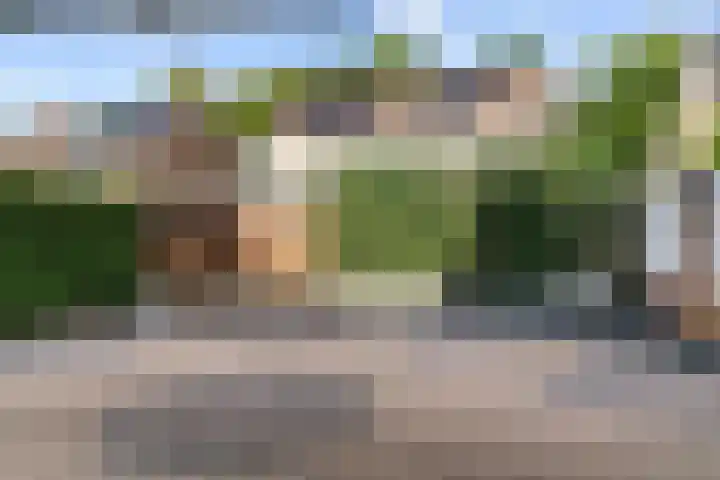 Tormentil 7 Venray thumbnail 26