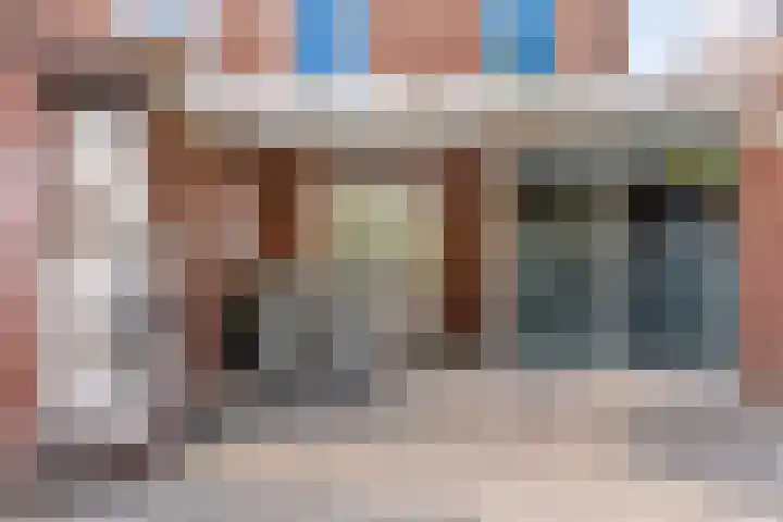 Tormentil 7 Venray thumbnail 27