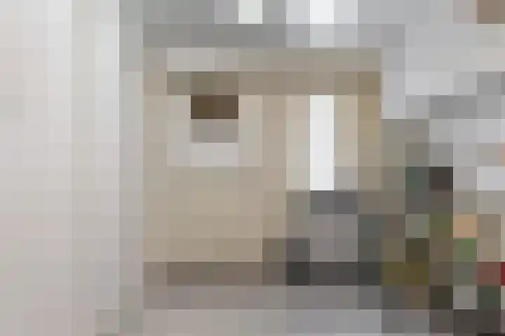 Tormentil 7 Venray thumbnail 29