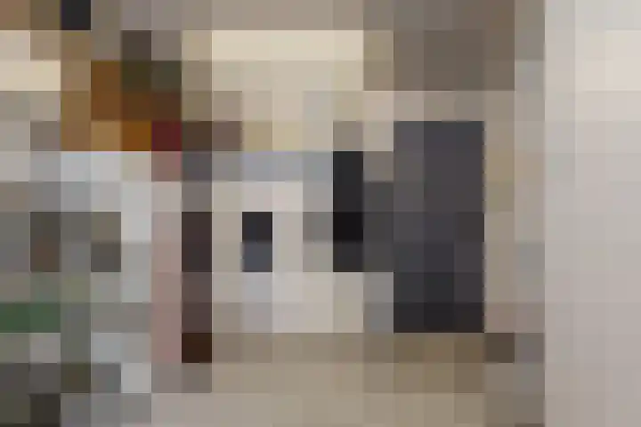 Tormentil 7 Venray thumbnail 30