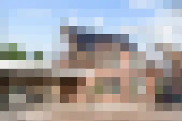 Tormentil 7 Venray thumbnail 31