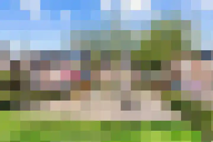 Tormentil 7 Venray thumbnail 32
