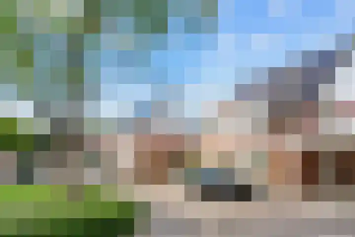 Tormentil 7 Venray thumbnail 33