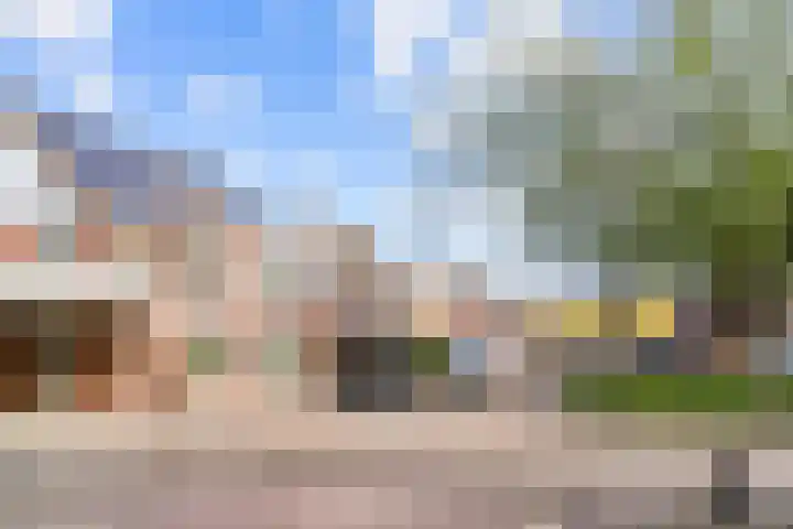 Tormentil 7 Venray thumbnail 34