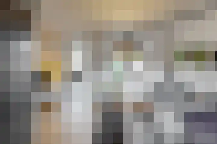 Tormentil 7 Venray thumbnail 4
