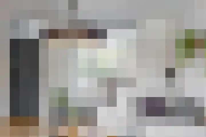Tormentil 7 Venray thumbnail 6