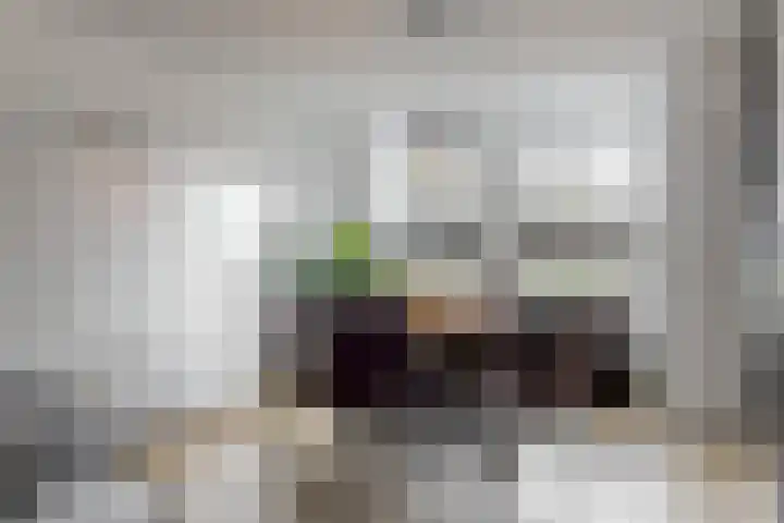 Tormentil 7 Venray thumbnail 7