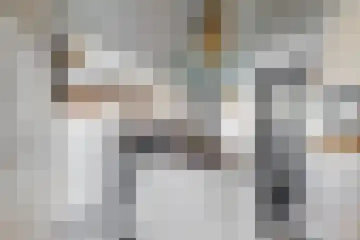 Tormentil 7 Venray thumbnail 9
