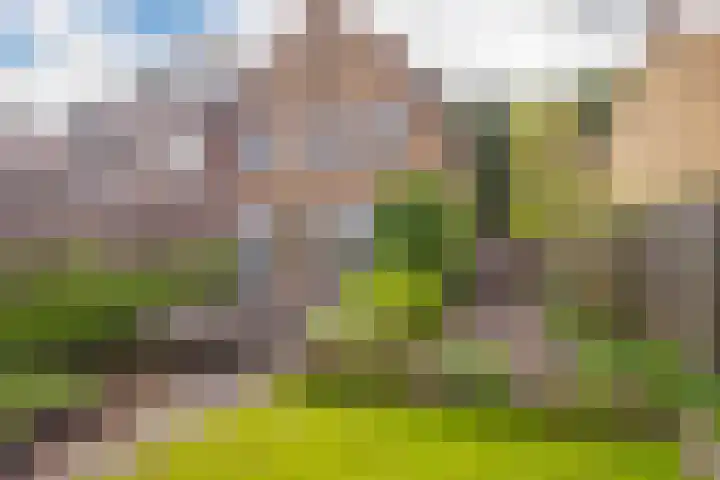 Tormentilstraat 26 Arnhem thumbnail 4