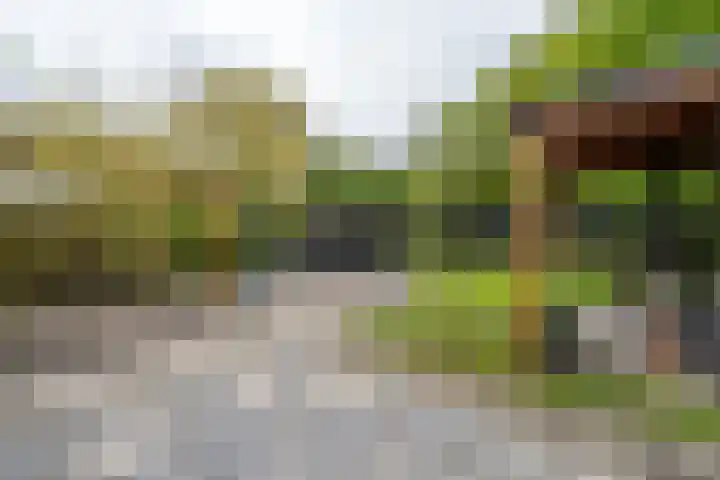 Tormentilstraat 36 Groningen thumbnail 39