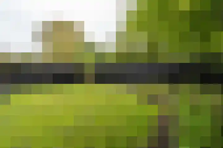 Tormentilstraat 36 Groningen thumbnail 42