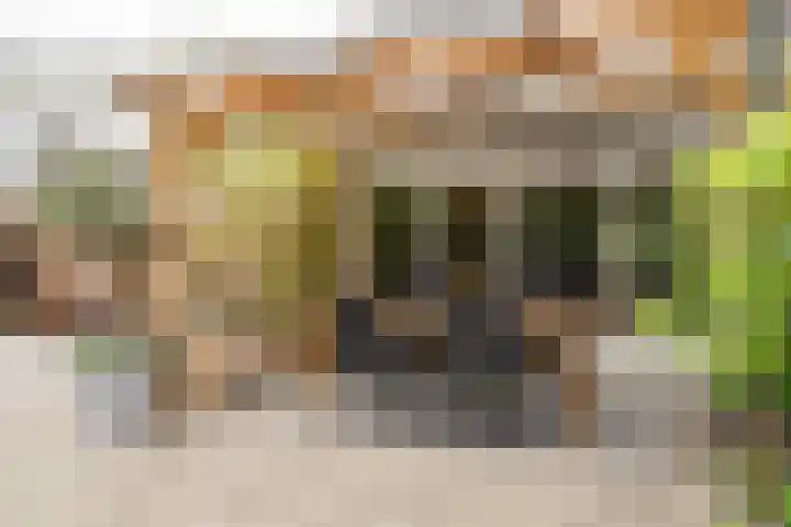 Tormentilstraat 36 Groningen thumbnail 47