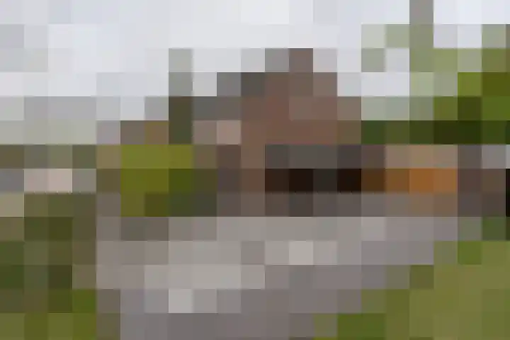 Tormentilstraat 36 Groningen thumbnail 53
