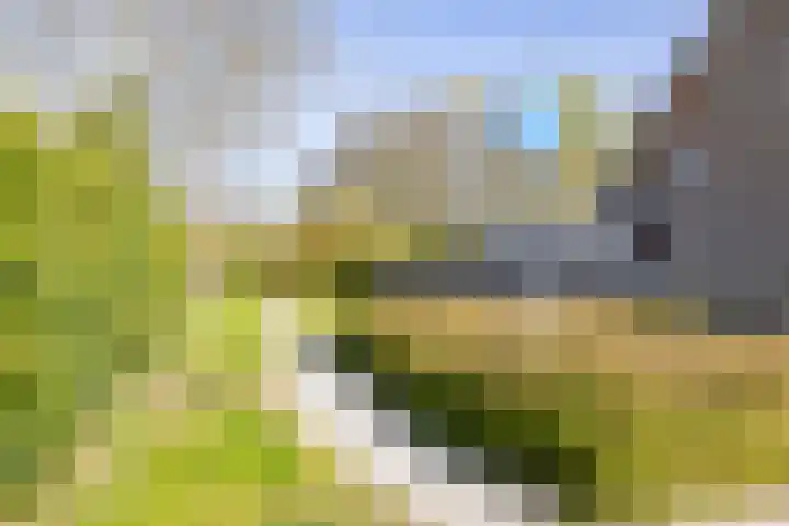 Tormentilstraat 78 Groningen thumbnail 49
