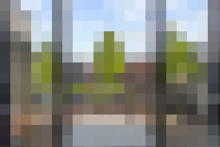 Tornemeer 50 Woerden thumbnail 13