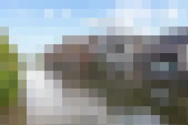 Tornemeer 50 Woerden thumbnail 40