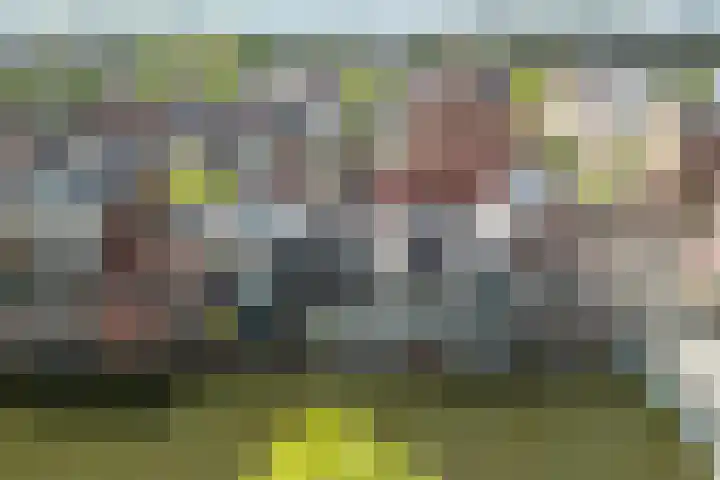 Tornemeer 50 Woerden thumbnail 41