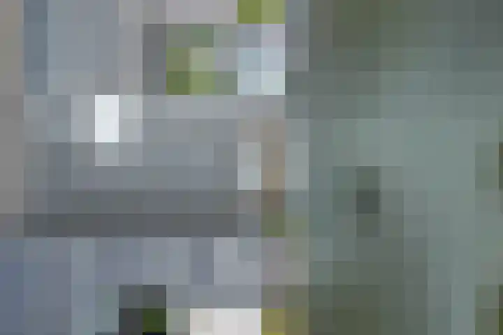 Tornemeer 50 Woerden thumbnail 5