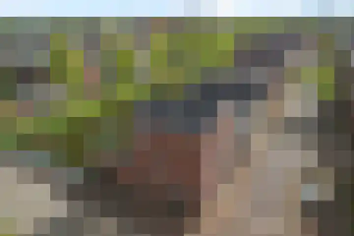 Tornemeer 50 Woerden thumbnail 6