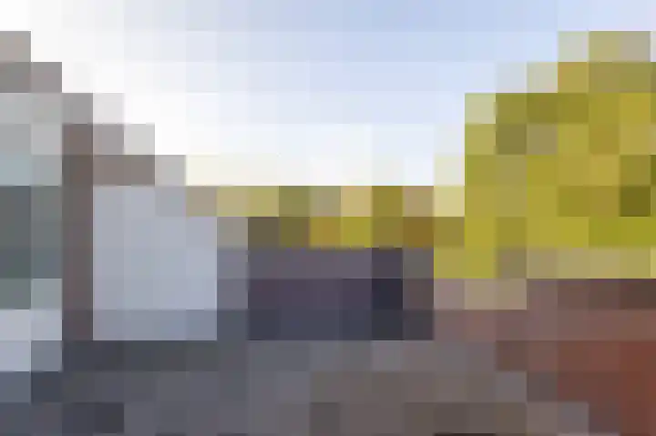 Torp 17 Den Helder thumbnail 11