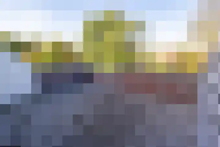 Torp 17 Den Helder thumbnail 9