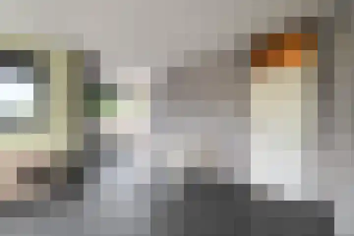 Torp 27 Den Helder thumbnail 11