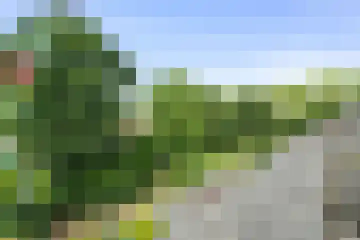 Torp 27 Den Helder thumbnail 16