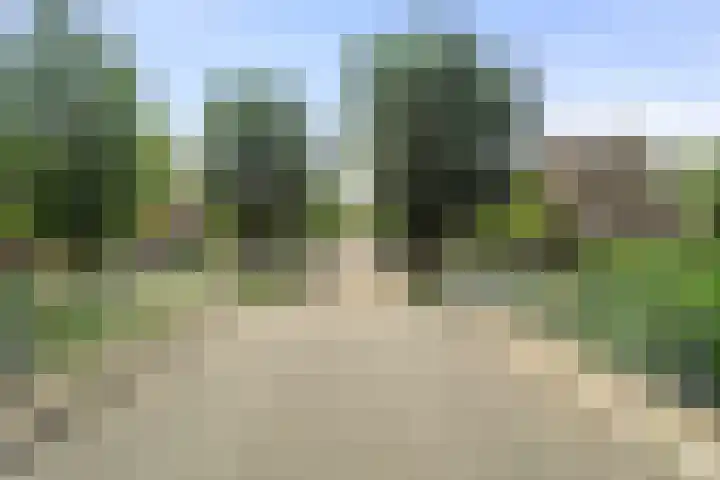 Torp 27 Den Helder thumbnail 26