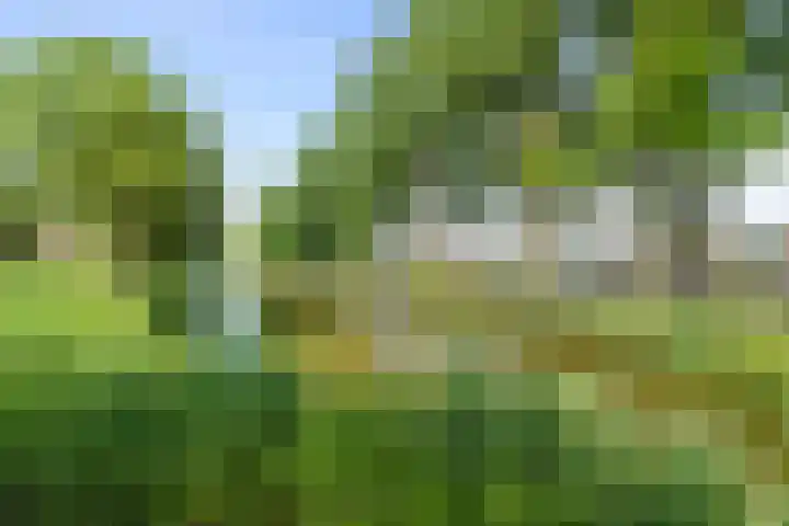 Torp 27 Den Helder thumbnail 27