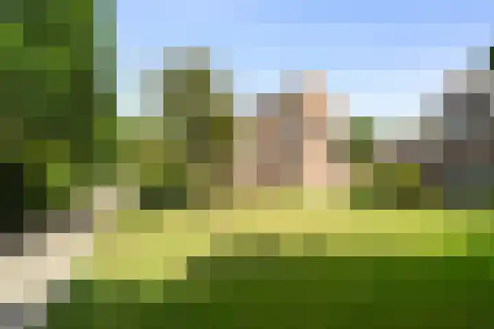 Torp 27 Den Helder thumbnail 28