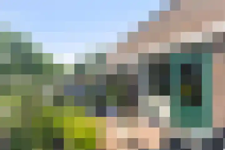 Torp 42 Den Helder thumbnail 18