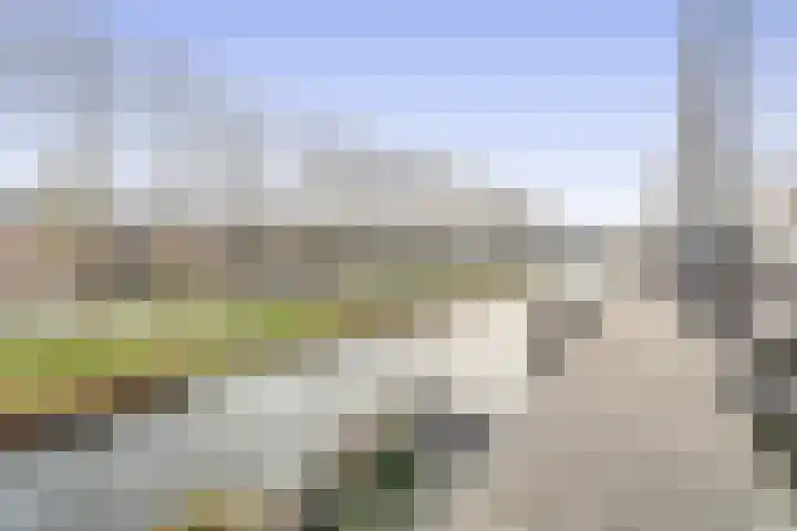Torp 53 Den Helder thumbnail 21